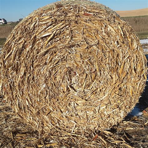 Wilson <strong>Hay</strong> Farms, LLC is the leading supplier of <strong>Hay For Sale</strong> Near Me, <strong>hay</strong> bales <strong>for sale</strong> long fiber forage and roughage products including alfalfa <strong>hay</strong>, timothy <strong>hay</strong>, sudangrass, oat <strong>hay</strong>, bermuda, and other grass <strong>hay</strong> and straw products for dairy, beef, horse, camel, goat, and animal feed industries in USA. . Craigslist iowa hay for sale